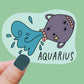 Aquarius Zodiac Astrology Sign Vinyl Sticker